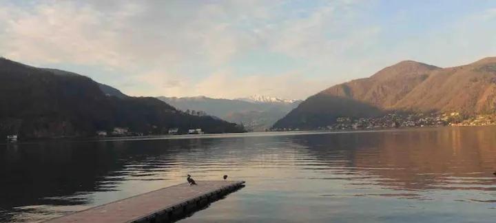 Rifugio Sul Lago Di Lugano A Porto Ceresio Eksteriør bilde