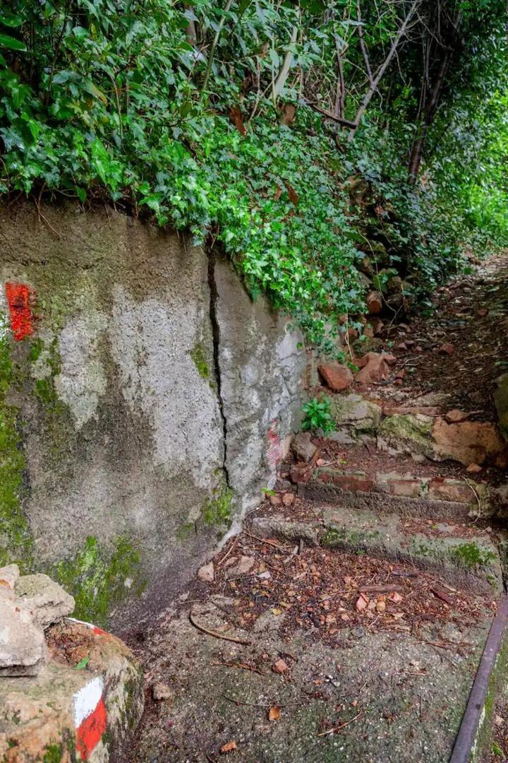 Rifugio Sul Lago Di Lugano A Porto Ceresio Eksteriør bilde